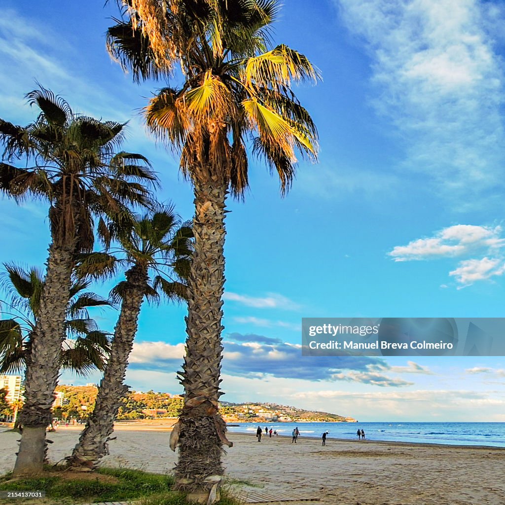 Summer in Benicassim
