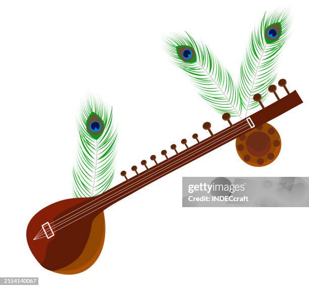 sitara instrument - guitar store stock illustrations
