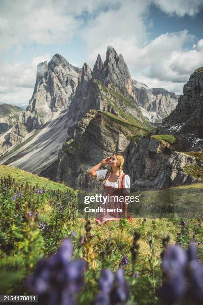 frau in traditioneller rot-weißer kleidung genießt die natur zwischen lila wolfsbane-blumen in seceda, dolomiten - dirndl stock-fotos und bilder