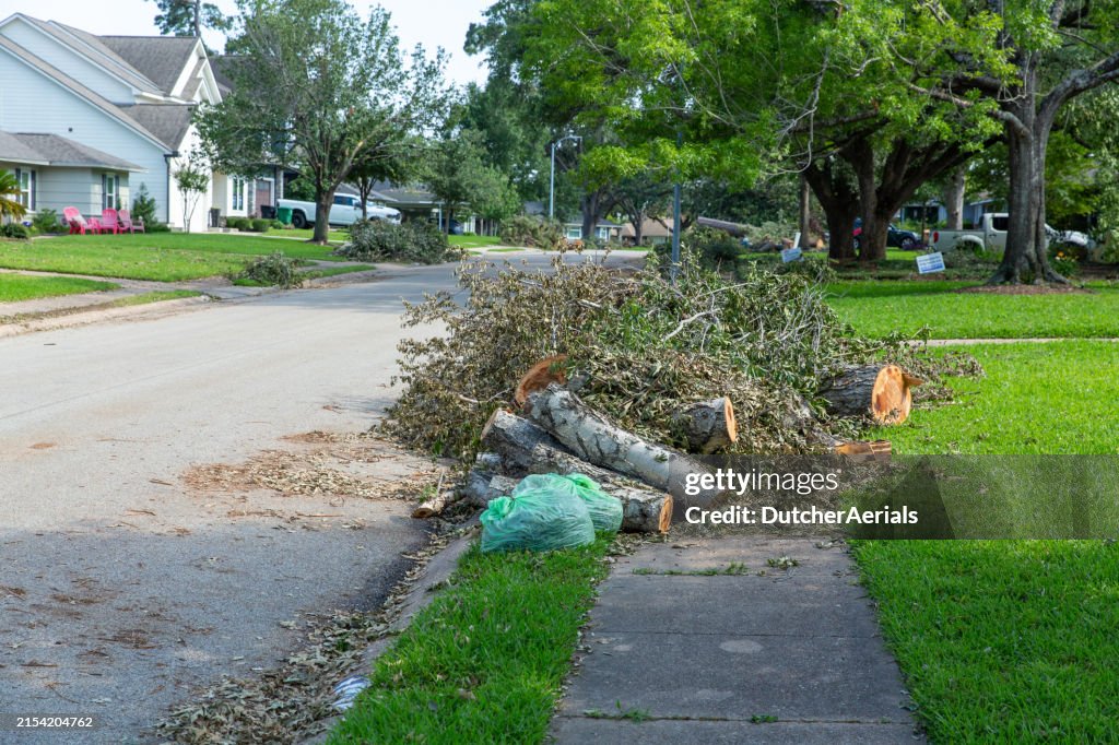 Fallen tree after a storm blocking sidewalk