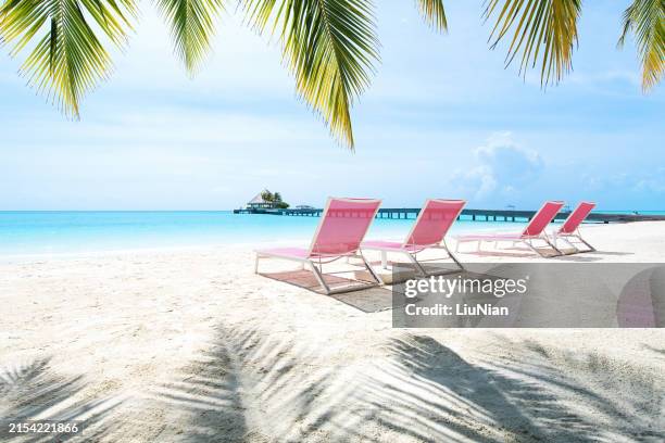plage tropicale ensoleillée avec chaises longues - ponton photos et images de collection