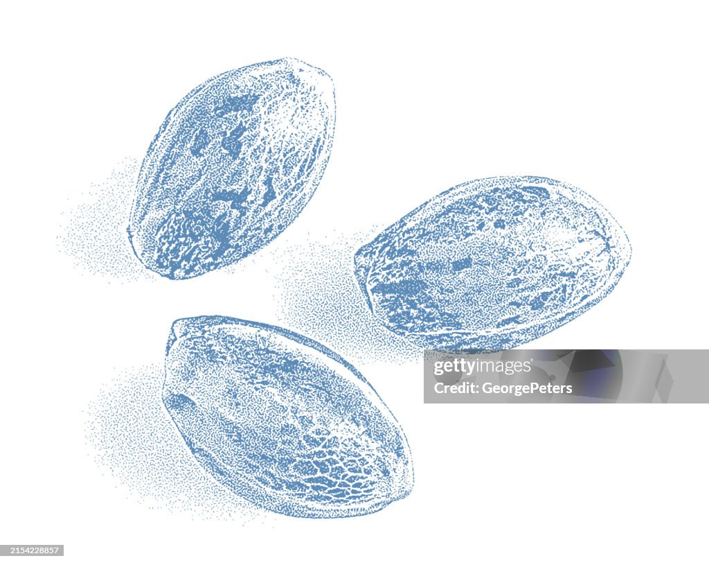 Extreme close-up of cannabis seeds