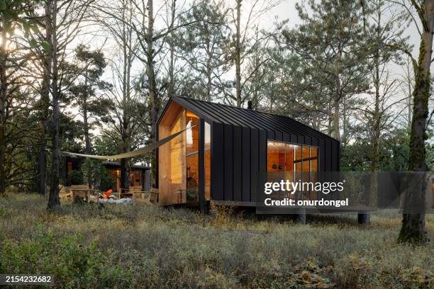 pequeña casa moderna en el bosque - casita de campo fotografías e imágenes de stock