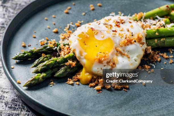 pan fried asparagus with fried egg and panko gremolata - egg yolk stock pictures, royalty-free photos & images