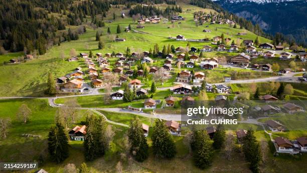 luftaufnahme der axalp in der nähe des brienzersees in der schweiz berner oberland - berner oberland stock-fotos und bilder