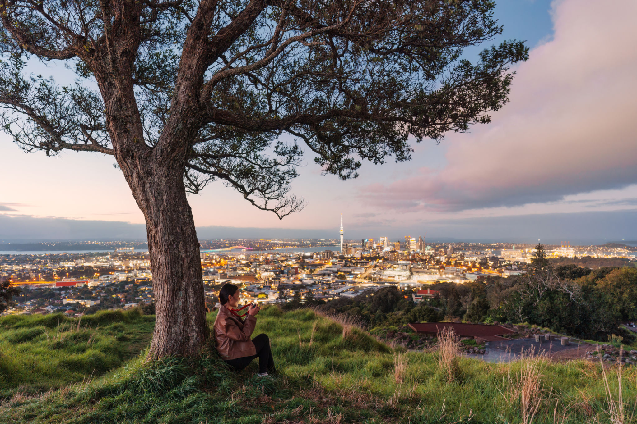 auckland tourism