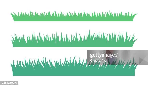 illustrations, cliparts, dessins animés et icônes de éléments de conception de bordure longue et courte de l’herbe en croissance - leisure activity stock illustrations