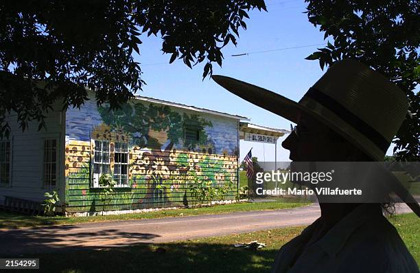 After a morning of yard work, artist Dale Tillman relaxes in her front yard July 11, 2003 north of Shreveport, Louisiana. In the background is a...
