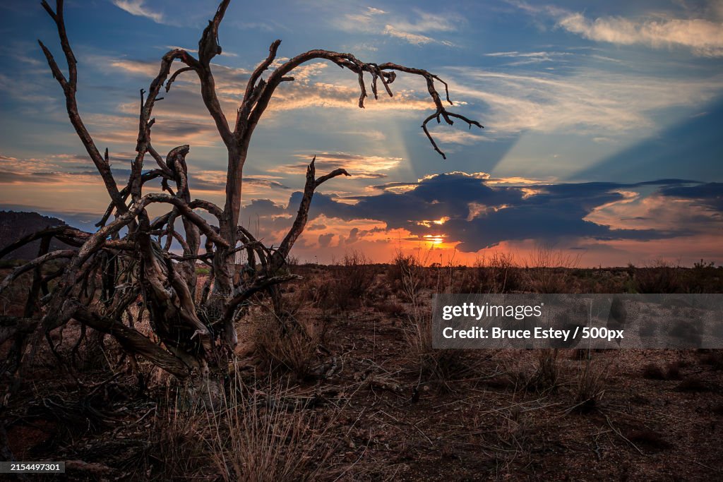 Scenic view of field against sky during sunset,Scottsdale,Arizona,United States,USA