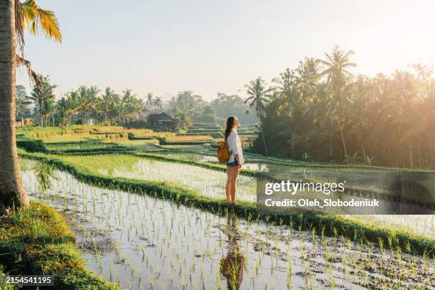 woman on tegallalang rice field on bali, indonesia - indonesien stock-fotos und bilder