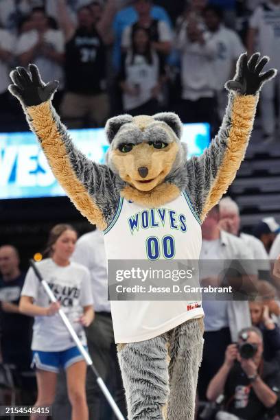 Pca Wolves 980 Timberwolves Mascot Stock Photos, High-Res Pictures, and Images ...
