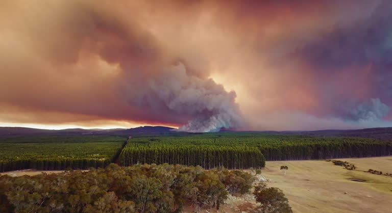 https://media.gettyimages.com/id/2154546899/video/thick-smoke-plumes-creating-dramatic-sky-from-out-of-control-bush-fire-burning-pine-forest.jpg?b=1&s=640x640&k=20&c=xy6pRSewMs8g4KUpl2ohFC7GSwMdwufDekQ2lT_P4PQ=