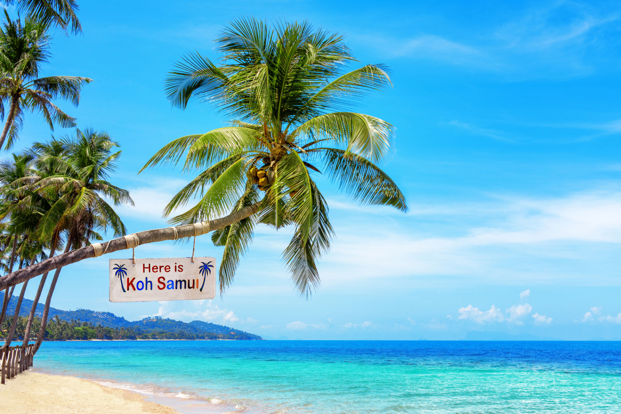 Here is Koh Samui - wooden sign on palm tree, paradise tropical island, sea sand beach landscape, ocean water, sun sky cloud, Surat Thani, Thailand, summer holidays, vacation, Southeast Asia travel Here is Koh Samui - wooden sign on palm tree, paradise tropical island, sea sand beach landscape, ocean water, sun sky cloud, Surat Thani, Thailand, summer holidays, vacation, Southeast Asia travel