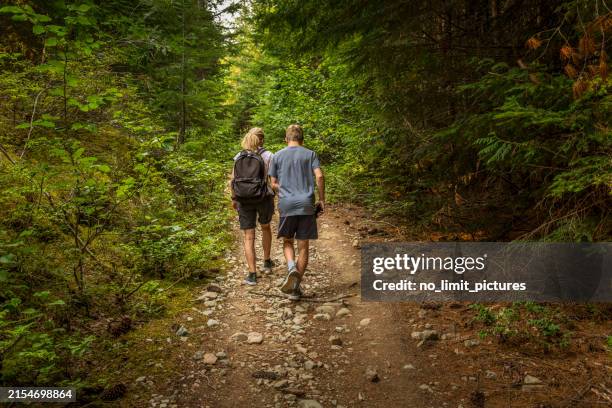 mother and son hiking in a forest of british columbia in canada - wilderness stock pictures, royalty-free photos & images