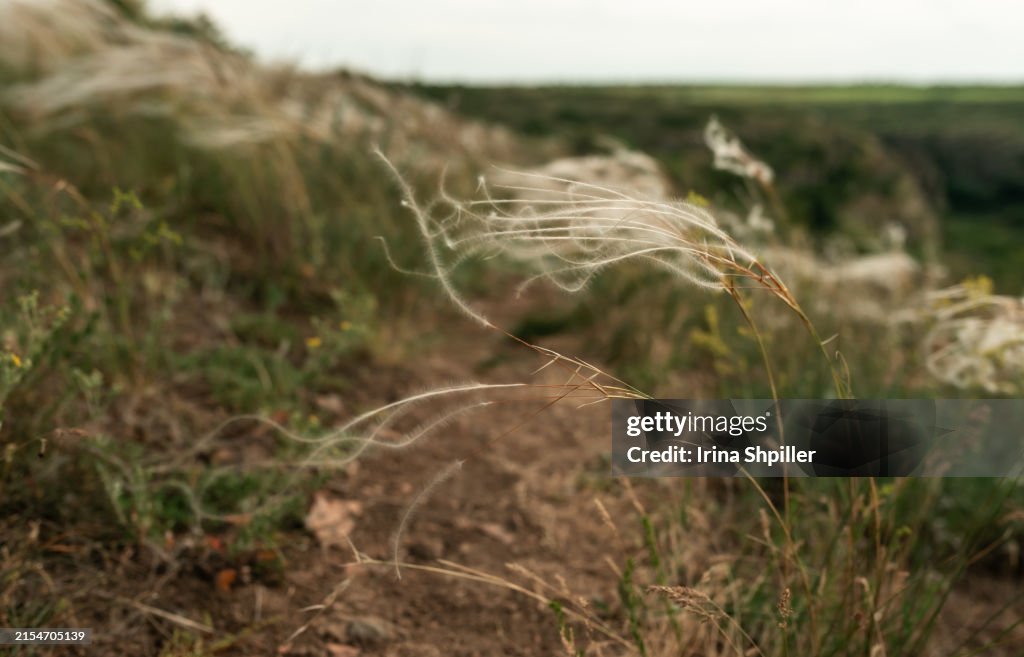 Beautiful natural scenery of river in Ukraine with rocks in background, top view. Summer time.