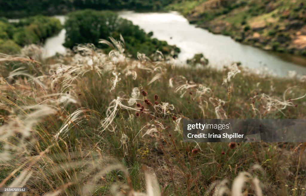 Beautiful natural scenery of river in Ukraine with rocks in background, top view. Summer time.