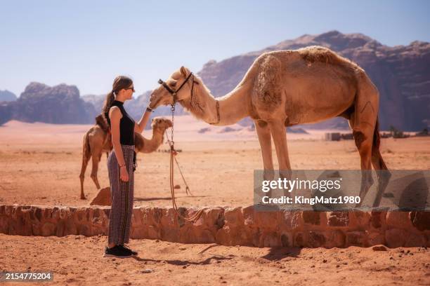 young girl with a camel - wadi rum stock pictures, royalty-free photos & images
