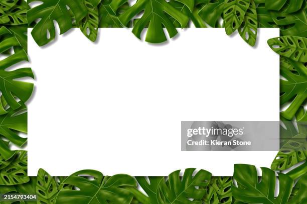 monstera leaf framed template background - monstera stock pictures, royalty-free photos & images