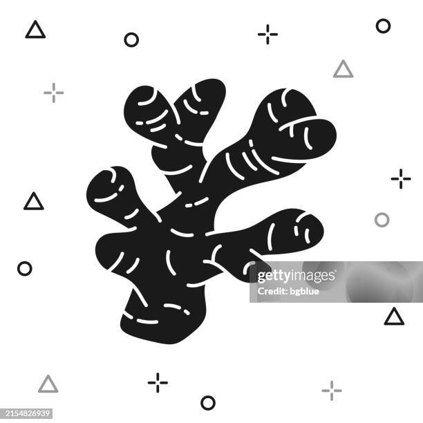 ginger. icon on white background - ginger root white background stock illustrations