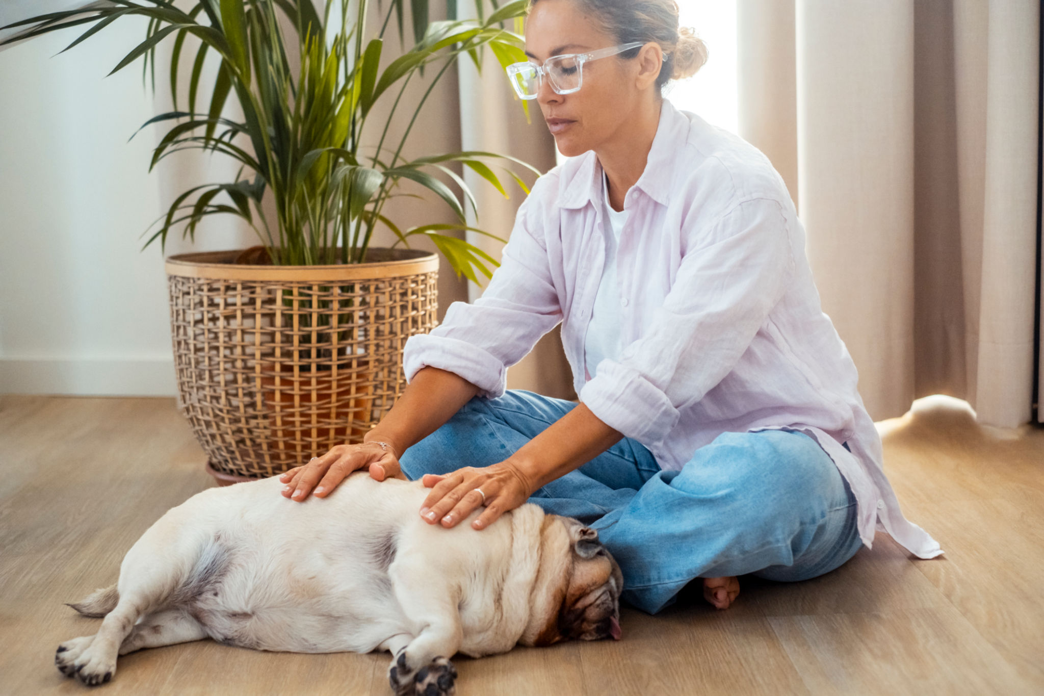 relaxed pet reiki