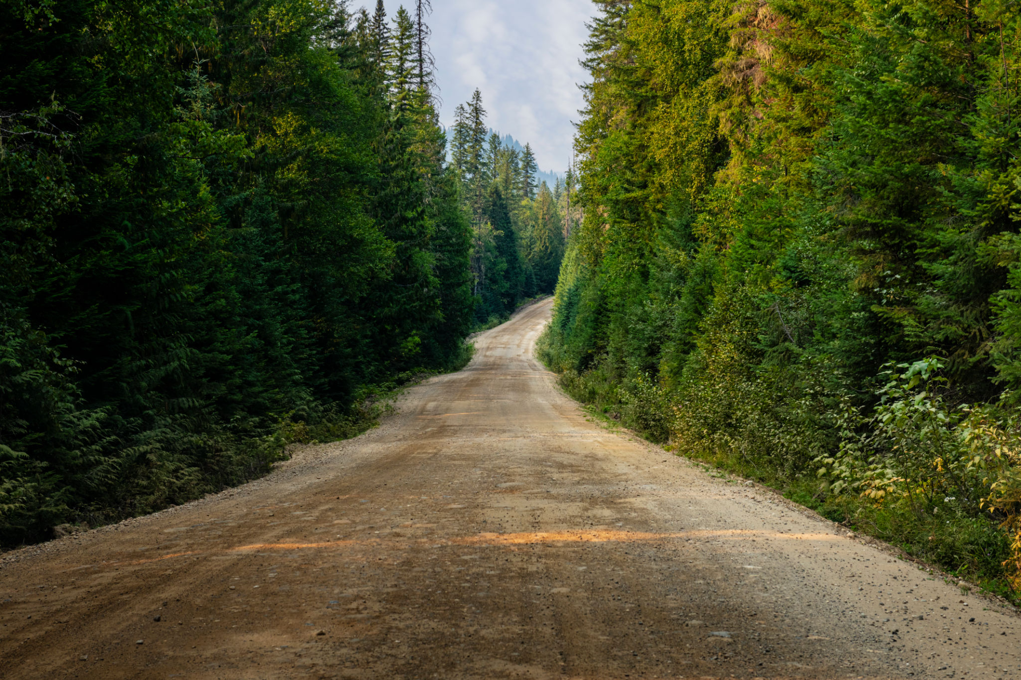 offroad terrain