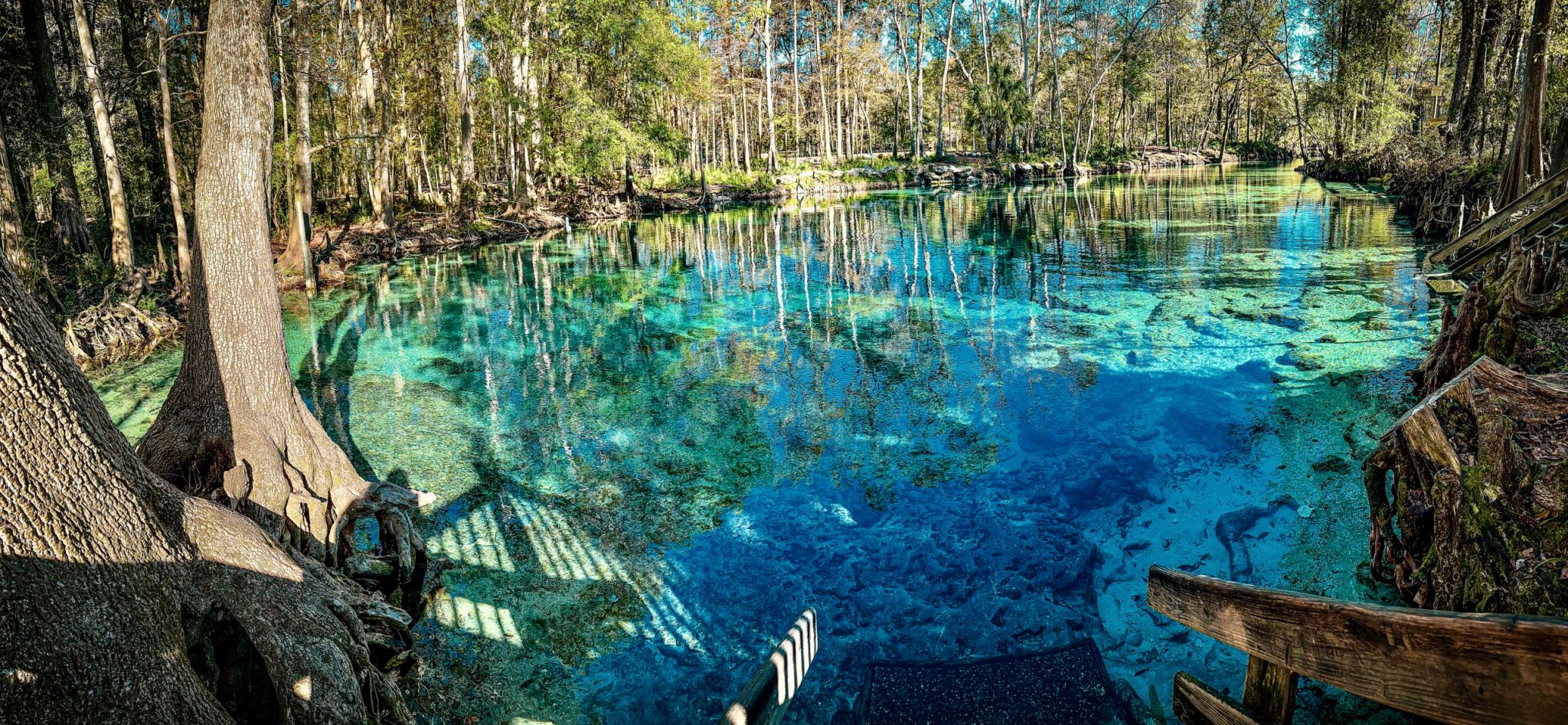 florida spring