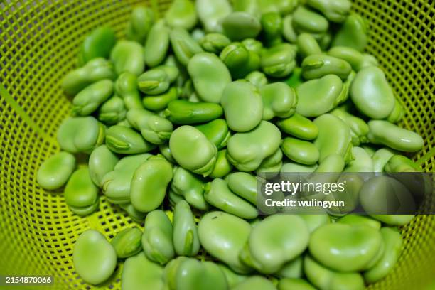 fresh fava beans - fava bean stock pictures, royalty-free photos & images