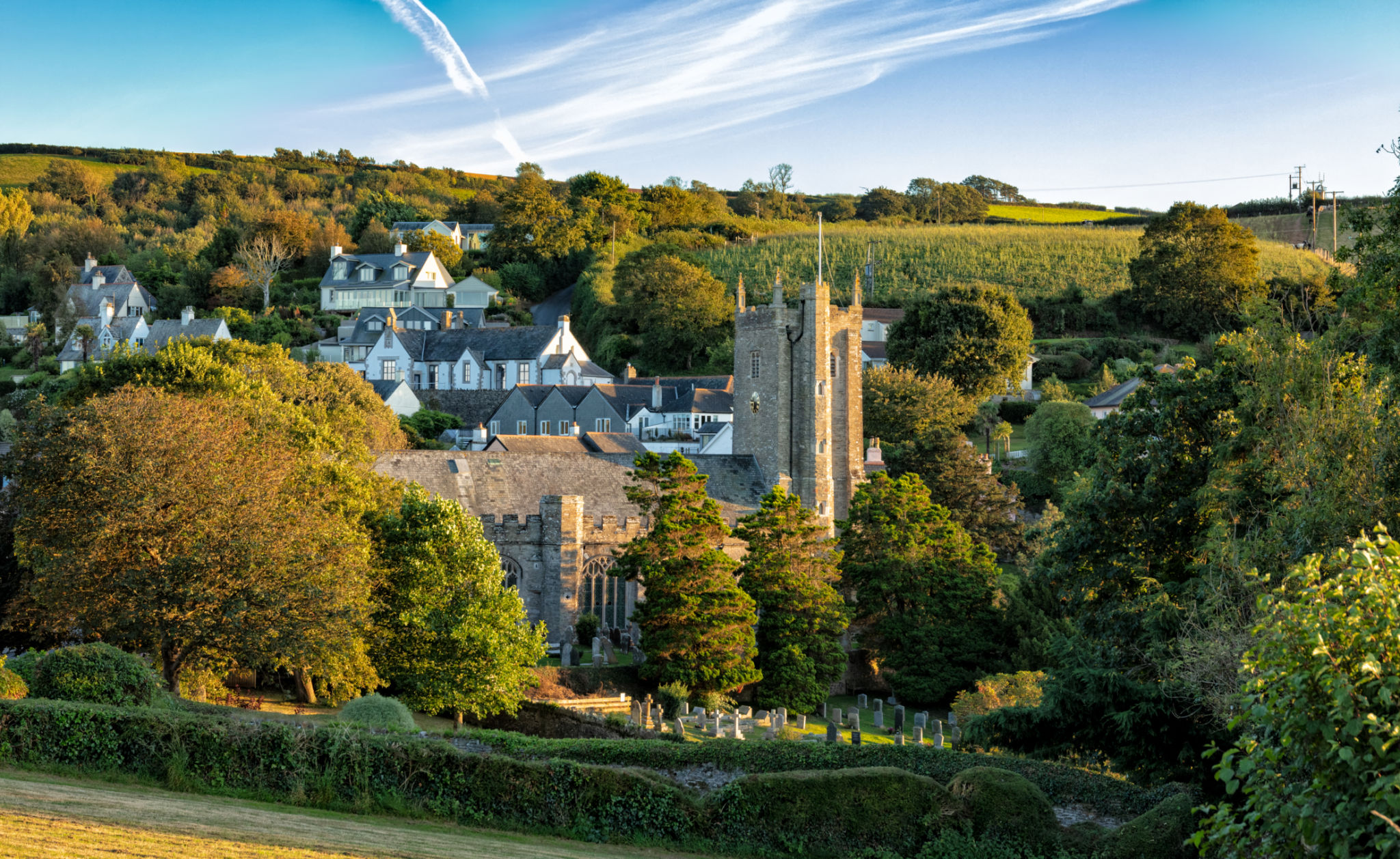 south devon therapy
