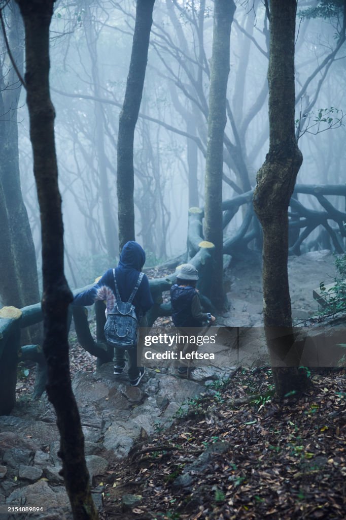 A mother and son capture a moment while hiking through the misty forest.