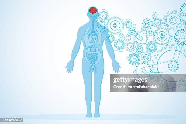 brain health and human anatomy with turning gears - human stomach internal organ stock illustrations
