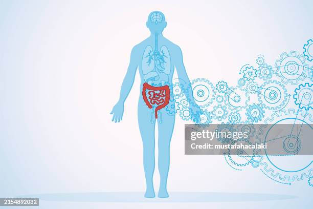 stockillustraties, clipart, cartoons en iconen met gut health and human anatomy with turning gears - maag darm leverziekten