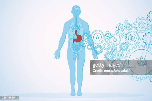 stockillustraties, clipart, cartoons en iconen met stomach health and human anatomy with turning gears - menselijke maag inwendig orgaan