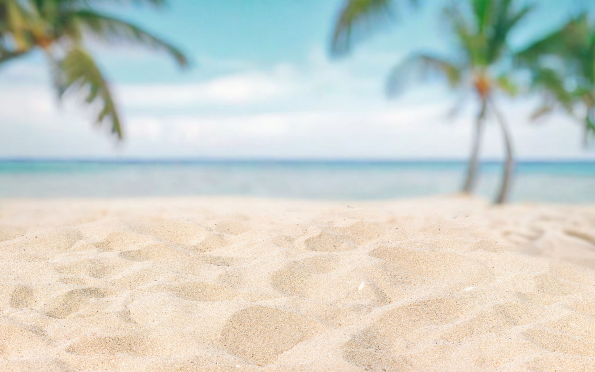 sunny beach