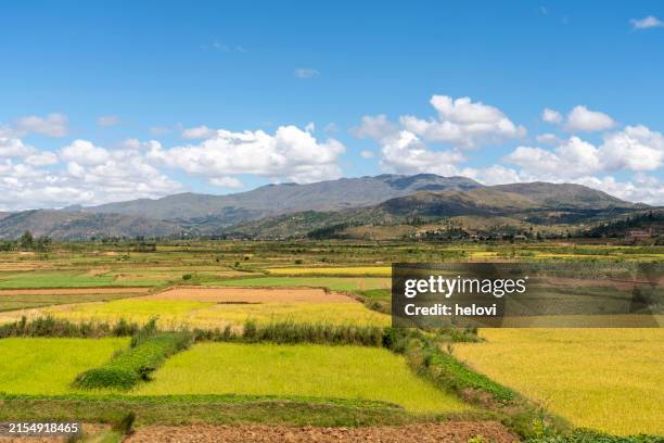 paysage rural autour de la ville d’antsirabe, madagascar - madagascar photos et images de collection