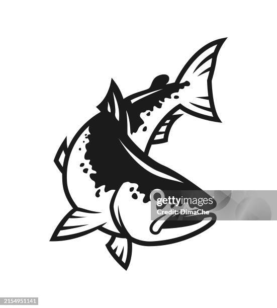 stockillustraties, clipart, cartoons en iconen met salmon fish silhouette - cut out vector icon - zalm