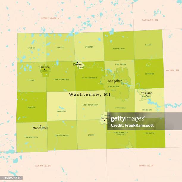 mi washtenaw county vector map green - manchester michigan stock illustrations