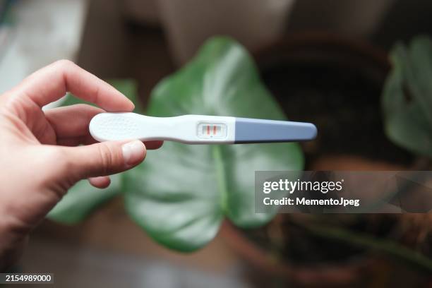 woman holding positive pregnancy test, close up - ovulation stock pictures, royalty-free photos & images