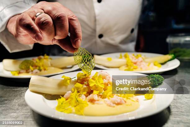white asparagus with prawns and hollandaise sauce - napkin stock pictures, royalty-free photos & images