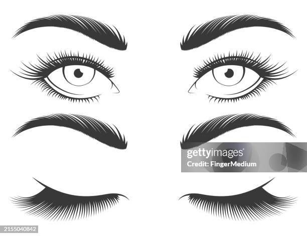 eyebrows and eyelashes vector set - mascara stock illustrations