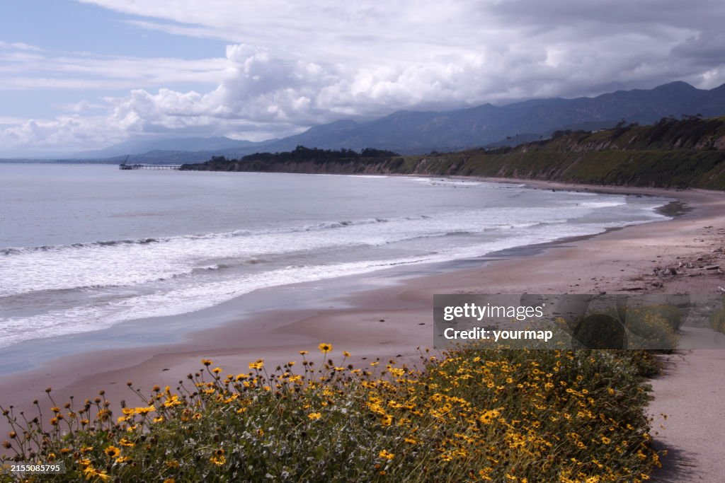 Trail to Rincon Beach Landscape