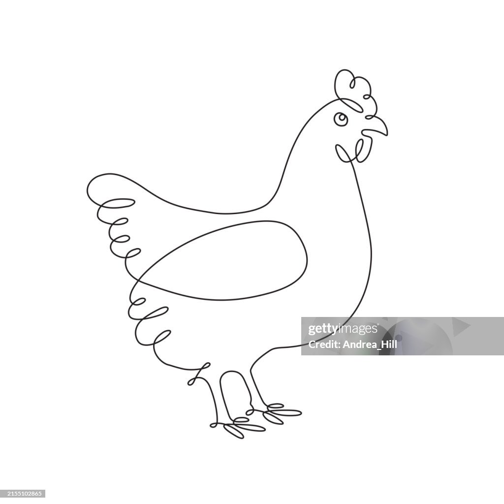 Chicken Continuous Line Drawing with Editable Stroke