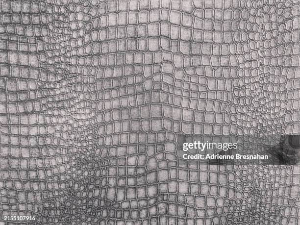 grey texture in snakeskin pattern - python stock pictures, royalty-free photos & images