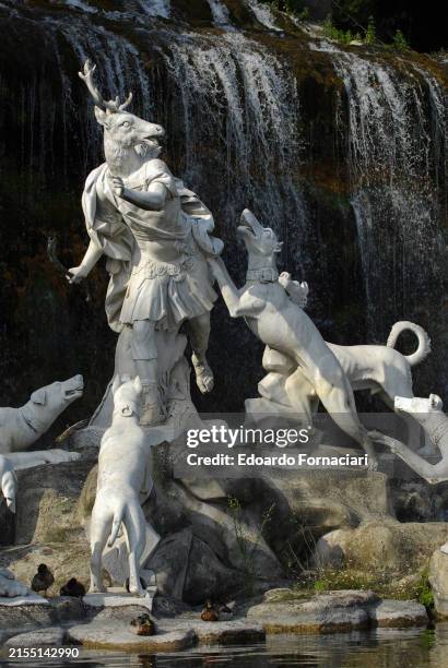 Reggia di Caserta : the fountain of Diana and Actaeon sculpted by Neapolitan artists. In the photo the detail of Actaeon transformed into a deer and...