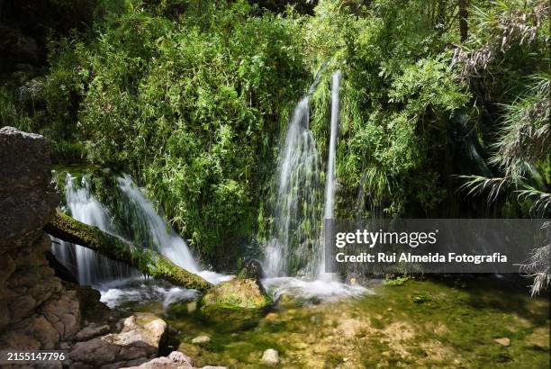 boição or bucelas waterfall, paradise near lisbon - agua descendente fotografías e imágenes de stock