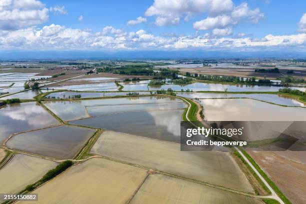 Unfloded Rice Fields 2,671 Flooded Rice Fields Stock Photos, High-Res Pictures, and Images ...