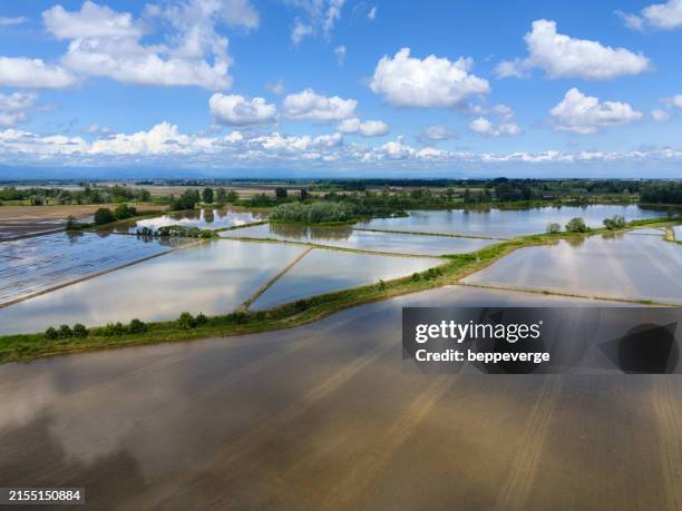 Unfloded Rice Fields 2,947 Flooded Rice Fields Stock Photos, High-Res Pictures, and Images ...