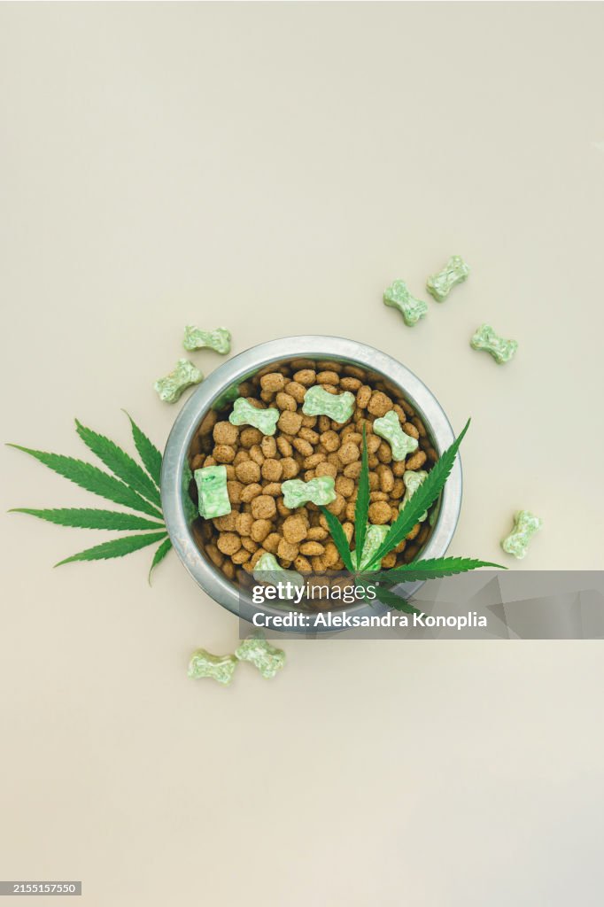 Top view of CBD-Infused Dog Food and green, bone-shaped, CBD-infused treats with Cannabis Leaves on neutral beige background with copy space