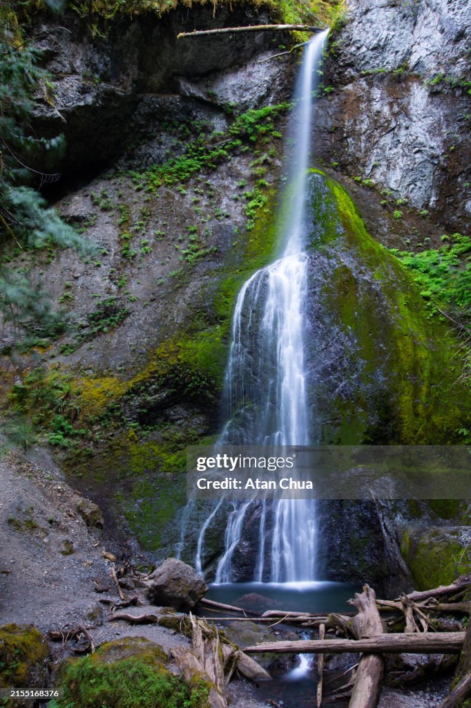 Marymere Falls at Olympic National Park