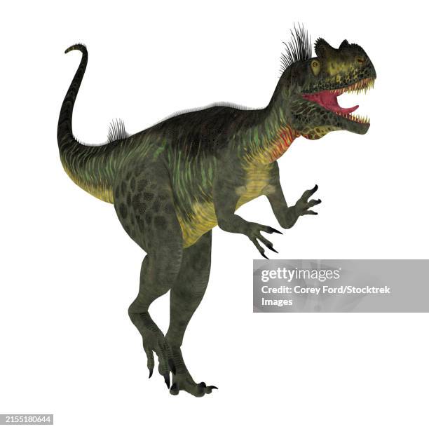 megalosaurus dinosaur, side view on white background - megalosaurus stock illustrations