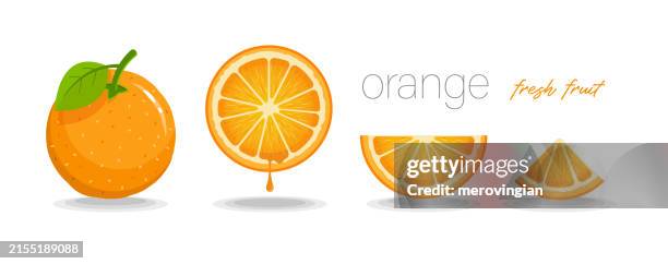 bildbanksillustrationer, clip art samt tecknat material och ikoner med fresh whole, half, cut slice orange fruit isolated on white background. organic fruit. - apelsin